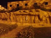 Світлана Калиш фотография #36 (источник - https://vk.com/id29533172)