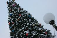 Ann Serzh фотография #31 (источник - https://vk.com/id956495)