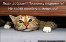Сергій Курилюк фотография #44 (источник - https://vk.com/id134005329)