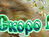 Соломійка Януш фотография #37 (источник - https://vk.com/id158893752)
