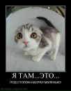 Назар Сопків фотография #16 (источник - https://vk.com/id34780305)