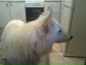 Фотография Глуховой Зины