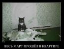 Денис Цветков фотография #35 (источник - https://vk.com/id2893261)