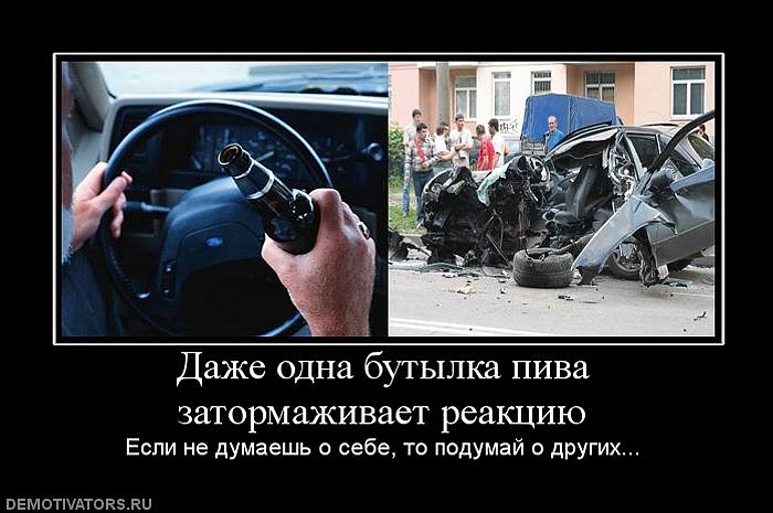 Илья Стафеев фотография #42