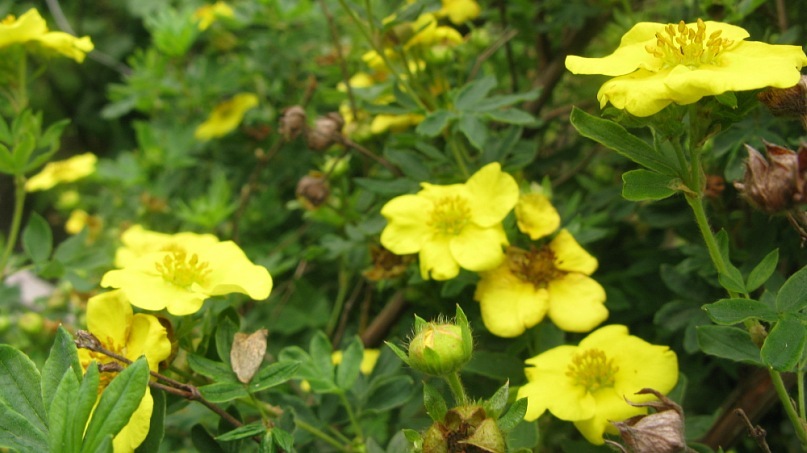 Катерина Старченко фотография #32