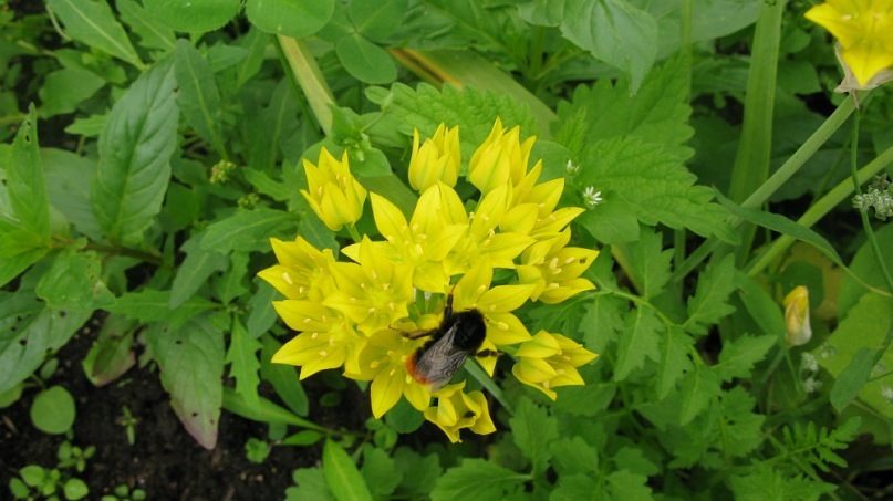 Катерина Старченко фотография #37