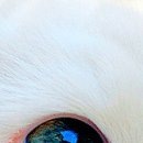 Ірина Кукурудза фотография #35 (источник - https://vk.com/id22514152)