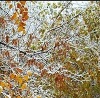 Танюша Громік фотография #44 (источник - https://vk.com/id142597014)
