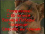 Степан Іванів фотография #10 (источник - https://vk.com/id160130087)