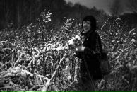 Фотография Белой Чёрнаи