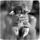 Вероніка Устич фотография #8 (источник - https://vk.com/id143771709)