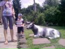 Діма Ульчак фотография #45 (источник - https://vk.com/id141888242)
