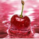 Софія Кузьова фотография #7 (источник - https://vk.com/id165810510)