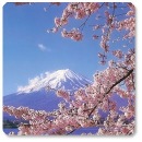 Фотография Микоян Джульетты