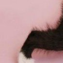 Олександра Сузінович фотография #20 (источник - https://vk.com/id67921577)