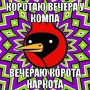 Фотография Grishina Sasha