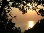 Taras Esthesia фотография #18 (источник - https://vk.com/id19869935)