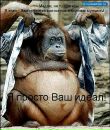 Фотография Галкина Ивана