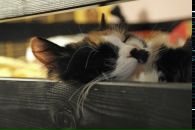 Фотография Прямицыной Ольги