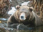 Фотография Аюпова Ильгиза