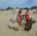 Фотография Вещугин Дмитрий