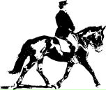 Фотография Бекренёва Алексея