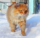 Фотография Хасмамедовой Дарьи