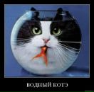 Фотография Барсен Ирины