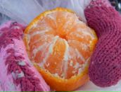 Фотография Лисс Алины