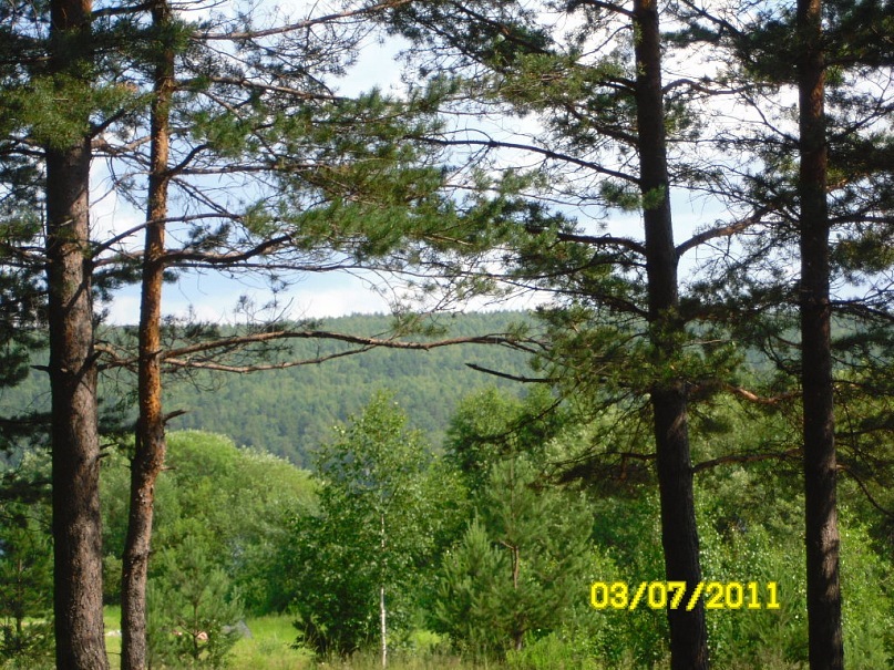 Сергей Бугаков фотография #13