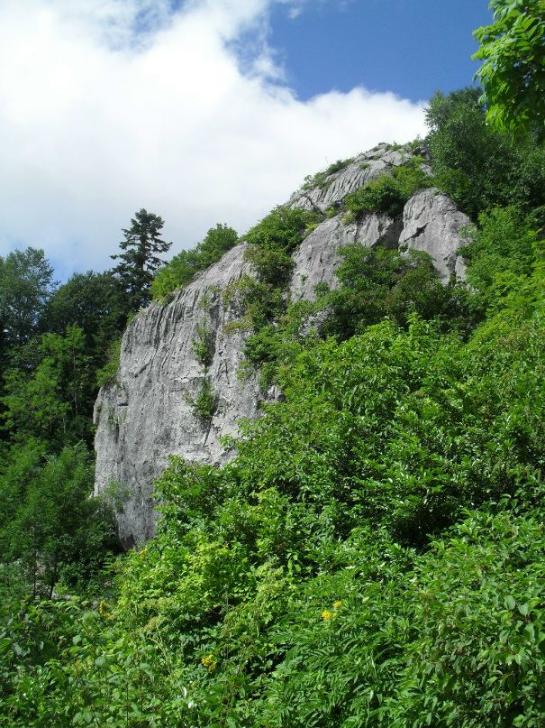 Дарья Торпачёва фотография #32