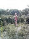 Анжеліка Волошина фотография #5 (источник - https://vk.com/id15349581)