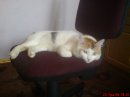 Анна-марія Костинюк фотография #20 (источник - https://vk.com/id79884088)