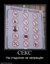 Катіріна Шарапова фотография #17 (источник - https://vk.com/id6870257)