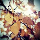 Фотография Sorokina Yana