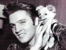 Elvis Presley фотография #45 (источник - https://vk.com/id356047)
