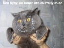 Олексій Лясковський фотография #38 (источник - https://vk.com/id60152225)