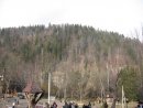 Олександр Решетнік фотография #33 (источник - https://vk.com/id11353361)