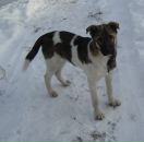 Фотография Бахаевой Нади