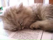 Леська Іванова фотография #29 (источник - https://vk.com/id30008237)