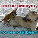 Олег Ніколаєнко фотография #4 (источник - https://vk.com/id161196626)