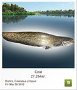Тарас Гуржій фотография #5 (источник - https://vk.com/id156001958)