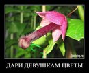 Андрій Слободян фотография #32 (источник - https://vk.com/id33358561)