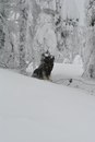 Юлія Нагірна фотография #34 (источник - https://vk.com/id41630943)