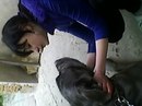 Машуля Зелінко фотография #29 (источник - https://vk.com/id166736706)