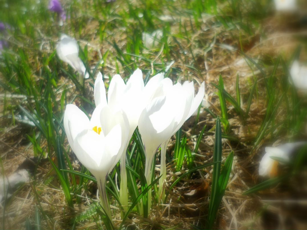 Мария Лунд фотография #11