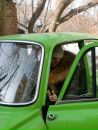 Фотография Гребенщиковой Татьяны