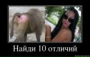 Сергій Бірук фотография #46 (источник - https://vk.com/id19331122)