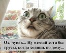 Віка Бугай фотография #39 (источник - https://vk.com/id148151365)