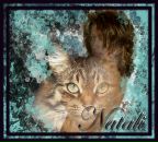 Фотография Жемчуговой Натальи